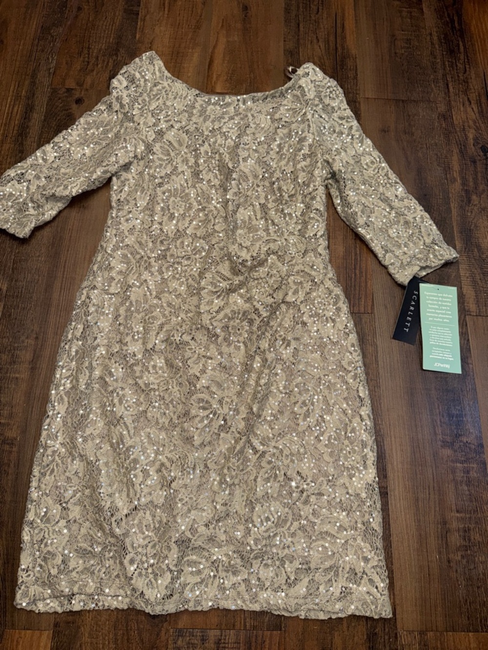 Scarlett Embellished Lace Midi Dress in Champagne Silver